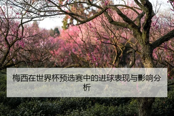 梅西在世界杯预选赛中的进球表现与影响分析