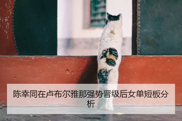 陈幸同在卢布尔雅那强势晋级后女单短板分析