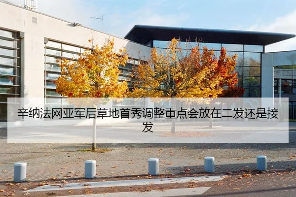 xin-na-fa-wang-ya-jun-hou-cao-di-shou-xiu-tiao-zheng-zhong-dian-hui-fang-zai-er-fa-huan-shi-jie-fa-2-439.jpg