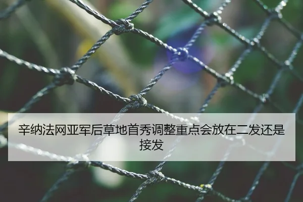 辛纳法网亚军后草地首秀调整重点会放在二发还是接发