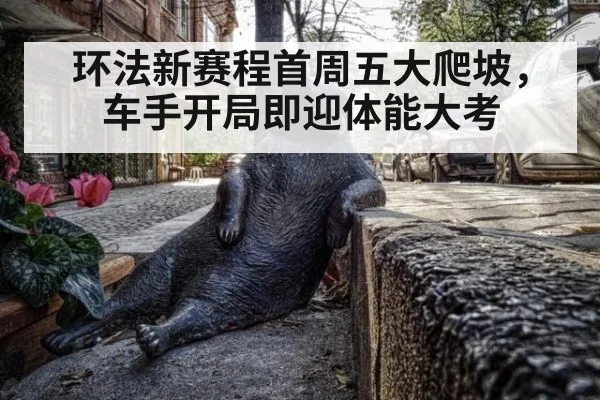 环法新赛程首周五大爬坡，车手开局即迎体能大考