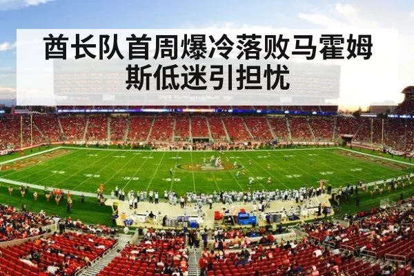 NFL stadium action